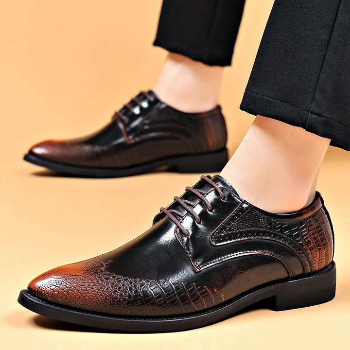 The Crownline Oxfords
